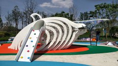 球王会|体育运动游乐贵州贵阳龙里案例